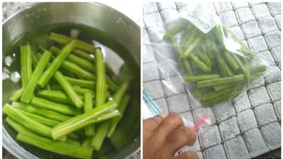 മുരിങ്ങക്കോൽ ആഴ്ചകളോളം ഫ്രഷായിരിക്കാൻ ഇങ്ങനെ ചെയ്താൽ മതി