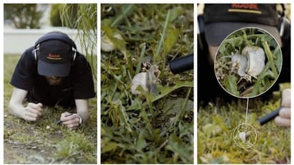 കർമുറും കർമുറും...; ഒച്ച് ഭക്ഷണം കഴിക്കുന്ന ശബ്ദം കേട്ടിട്ടുണ്ടോ? ഇല്ലെങ്കില് കേട്ടോളൂ; വൈറല് വീഡിയോ കാണാം