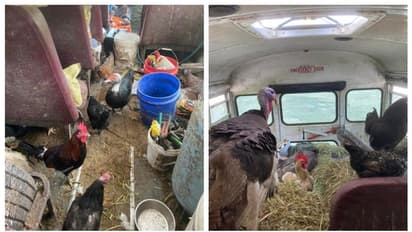 രഹസ്യവിവരം, പരിശോധിച്ചപ്പോള്‍ സ്കൂള്‍ ബസ് നിറയെ മൃഗങ്ങള്‍; പെന്‍സില്‍വാലിയയില്‍ അസാധാരണ അറസ്റ്റ് 