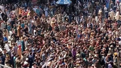 T20 World Cup 2024: Celebrations erupt in Afghanistan as team secures historic win over Australia (WATCH)