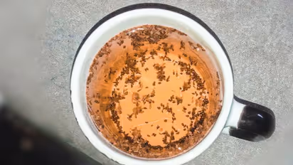 Health Tips: ഗ്യാസും അസിഡിറ്റിയും അകറ്റാനും വണ്ണം കുറയ്ക്കാനും ഡയറ്റില് ഉള്പ്പെടുത്താം അയമോദക വെള്ളം