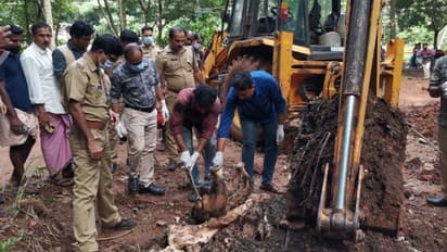 വാഴക്കോട് കാട്ടാനയുടെ കൊമ്പെടുത്ത സംഭവം: ഒരു വര്ഷം കഴിഞ്ഞിട്ടും കുറ്റപത്രം നല്കിയില്ല, 11 പ്രതികളും പുറത്ത്