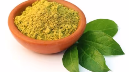 रूखे बेजान बाल बनेंगे चमकदार, बस हफ्ते में दो बार लगाएं मेहंदी की पत्ती