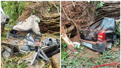 വാഹനങ്ങൾക്ക് മുകളിലേക്ക് മരം വീണ സംഭവം: കാറിലുണ്ടായിരുന്നത് ഗർഭിണിയടക്കം 4 പേർ, കാറിന് മുകളിൽ വീണത് ചുവടുഭാഗം