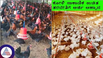 ಉಚಿತ ಊಟ, ವಸತಿಯೊಂದಿಗೆ ಕೋಳಿ ಸಾಕಾಣಿಕೆ ತರಬೇತಿಗೆ ಅರ್ಜಿ ಆಹ್ವಾನ; ಜು.02 ಕೊನೆ ದಿನ
