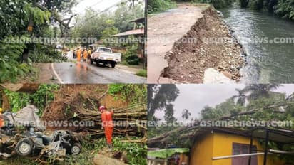 ശക്തമായ മഴയും കാറ്റും: സംസ്ഥാനത്ത് വ്യാപക നാശനഷ്ടം; ഒരാൾ മരിച്ചു, നിരവധി പേര്ക്ക് പരുക്ക്; വീടുകൾക്കും നാശം