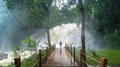 Mysuru to Chikamagalur: 5 Must-Visit Tourist Attractions in Karnataka