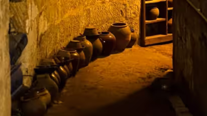 உலகின் மிகவும் பழமையான ஒயின்.. ரோமானிய கல்லறையில் கண்டுபிடிப்பு.. எத்தனை வருடம் தெரியுமா?