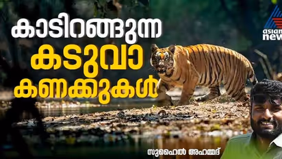 ഒരു വര്‍ഷത്തിനിടെ എട്ട് കടുവകള്‍; അശാന്തമായ വയനാടന്‍ രാത്രികള്‍