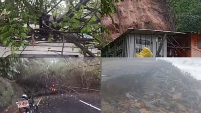 കനത്ത മഴ; കൊല്ലത്ത് മരം ഒടിഞ്ഞ് വീണ് ഒരാൾക്ക് പരിക്ക്, എറണാകുളത്തെ മലയോര മേഖലയിൽ രാത്രിയാത്രക്ക് നിയന്ത്രണം