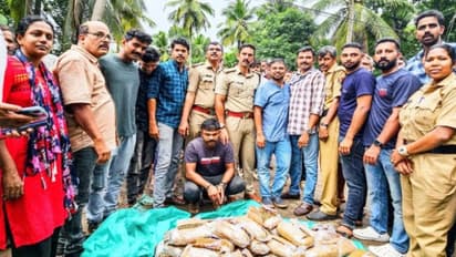 കാറിന്റെ ഡിക്കിയിൽ ചെറിയ പാക്കറ്റിലാക്കിയ 50 കിലോ കഞ്ചാവ്, മഞ്ചേരിയിൽ കഞ്ചാവ് വേട്ട, 44കാരൻ പിടിയിൽ