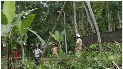 പെരുമഴ തന്നെ, കാലവർഷം കടുക്കുന്നു; ഇക്കാര്യങ്ങൾ ശ്രദ്ധിക്കണം, മുന്നറിയിപ്പുമായി കെഎസ്ഇബി
