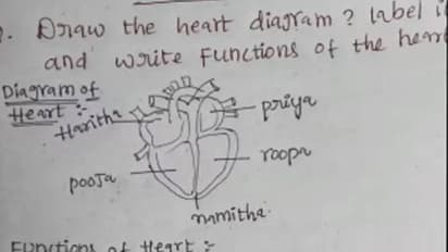 ഉത്തരക്കടലാസ് വൈറൽ, ഹൃദയത്തിൽ ഹരിത, പ്രിയ, പൂജ, രൂപ, നമിത എന്നിവരെന്ന് വിദ്യാർത്ഥി