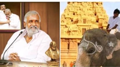 Sekarbabuதஞ்சை கோயிலுக்கு சிவாஜி கொடுத்த யானை இறந்து போச்சு.. புதிய யானை எப்போது வழங்கப்படும்? சேகர்பாபு தகவல்