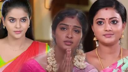 விஜய் டிவியில் மற்றும் ஜீ தமிழ் ஹிட் சீரியல்கள் எட்டிய புதிய மையில் கல்! குவியும் ரசிகர்கள் வாழ்த்து!