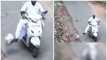 മെമ്പർ റോഡിൽ മാലിന്യം തള്ളിയ സംഭവം; എന്ത് നടപടിയെടുത്തെന്ന് സർക്കാരിനോട് ഹൈക്കോടതി