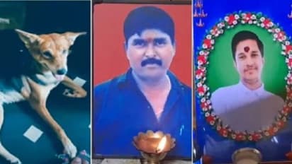 ಸಾಕು ನಾಯಿ ಕಚ್ಚಿದ ಬಳಿಕ ತಂದೆ, ಮಗ ರೇಬಿಸ್ನಿಂದ ಸಾವು!