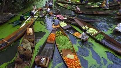 Kashmir’s Beauty: Explore the Famous Floating Vegetable Market for a Unique Cultural Experience