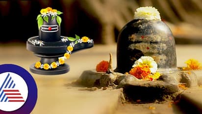 Gujarat: 'Shivling' stolen from Dwarka temple on Mahashivratri eve; police launch search