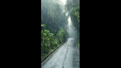 ಕರ್ನಾಟಕದಲ್ಲಿ ನಾಳೆಯಿಂದ ಮಳೆ ಚುರುಕು..!