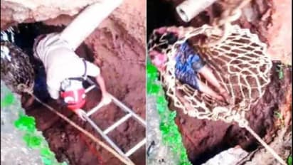 മണ്ണിടിഞ്ഞ് സ്ലാബ് ഇളകി സെപ്റ്റിക് ടാങ്കിൽ വീണ് വീട്ടമ്മ, സാഹസികമായി രക്ഷപ്പെടുത്തി ഫയര്ഫോഴ്സ്