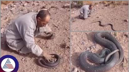 ಬುಸುಗುಡುತ್ತಾ ಕಚ್ಚಲು ಬಂದ ವಿಷಕಾರಿ ಹಾವನ್ನು ಮಕಾಡೆ ಮಲಗಿಸಿದ ಮುಸ್ಲಿಂ ಬಾಬಾ!