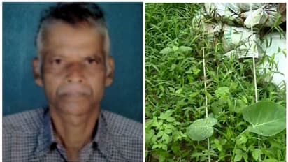 വൈദ്യുതാഘാതമേറ്റ് മരണം; ബാബുവിന്റെ കുടുംബത്തിന് 10 ലക്ഷം രൂപ സഹായധനം നൽകുമെന്ന് കെഎസ്ഇബി