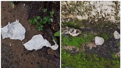 റോഡരികിൽ നാടന്ബോംബ് പൊട്ടിത്തെറിച്ചു; യുവാവ് കസ്റ്റഡിയിൽ; സംഭവം തൃശ്ശൂർ ചാവക്കാട്