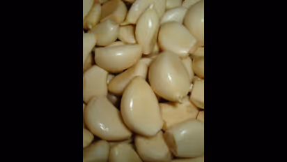 சிசேரியன் பிரசவமா? வெள்ளைப்பூண்டு வதக்கி சாப்பிடுங்க; உடம்பு ஜம்முன்னு ஆகும்.. வீட்டு டிப்ஸ்!!