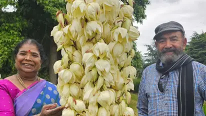 அப்பா விஜயகுமாரின் 81-ஆவது பிறந்தநாள்! மகன் - மகள்களோடு சாமி தரிசனம்! வைரல் போட்டோஸ்!