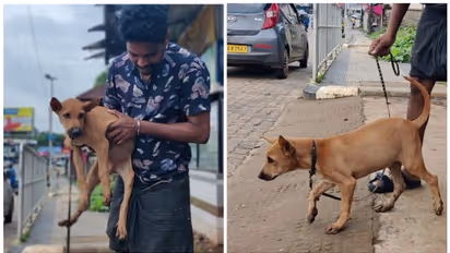 'കുട്ടു'വിനെ തിരികെ കിട്ടി; ഉടമയുടെ സങ്കടം കണ്ട് തിരികെയേൽപിക്കുന്നുവെന്ന് മോഷ്ടാവ്