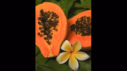 Jamun to Plums: 5 Fruits you should eat in monsoon for better immunity 