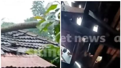 കനത്ത മഴയും കാറ്റും; തൃശ്ശൂരിൽ വീടിന് മുകളിലേക്ക് തെങ്ങ് വീണ് 3 പേർക്ക് പരിക്ക്