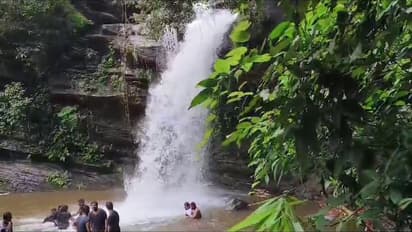 Karnataka's monsoon delight: Nature's visual retreat awaits tourists at Abbugudige falls in Chikkamagaluru