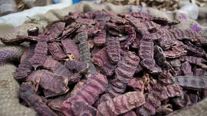 बालों में छा जाएगी नैचुरल चमक, घर पर ही ऐसे बनाएं हर्बल Shikakai Shampoo