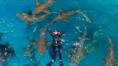 പണ്ടുതൊട്ടേ വലിയ പേടി, സ്രാവുകൾക്കൊപ്പം നീന്തി ആ ഭയത്തെ നാടുകടത്തി യുവതി