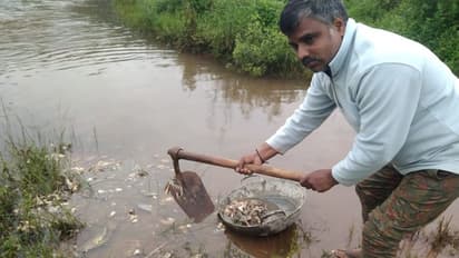 ಹೇಮಾವತಿ ನದಿ ನೀರಿಗೆ ಸಾಂಕ್ರಾಮಿಕ ರೋಗದ ಭೀತಿ: ಒಡಲಿಗೆ ವೇಸ್ಟ್ ಮೀನು ಸುರಿಯುವ ವ್ಯಾಪಾರಿಗಳು 