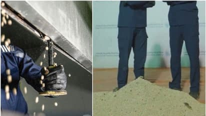 പതിവ് കസ്റ്റംസ് പരിശോധന, തുറമുഖത്ത് എത്തിയത് ഇരുമ്പ് ഉപകരണങ്ങൾ, സംശയം തോന്നി, പിടികൂടിയത് 36 ലക്ഷം ലഹരിഗുളികൾ