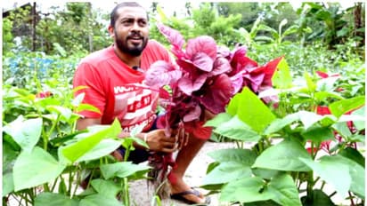 8 വർഷം മുമ്പ് ടിസിഎസിലെ 'വൈറ്റ് കോളർ' ജോലി കളഞ്ഞു, എംബിഎക്കാരൻ ഭാഗ്യരാജ് ഇന്ന് പൊന്ന് വിളയിക്കുന്നു, മാതൃക