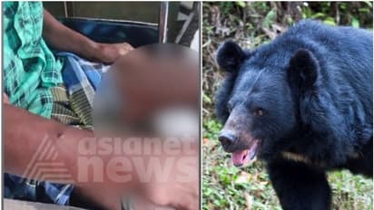 തിരുവനന്തപുരത്ത് കരടിയുടെ ആക്രമണം; 58 കാരനെ വീട്ടുമുറ്റത്ത് വെച്ച് അടിച്ച് നിലത്തിട്ടു, കടിച്ചു