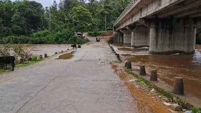 ಕಾಫಿನಾಡ ಪಶ್ಚಿಮ ಘಟ್ಟಗಳ ಸಾಲಲ್ಲಿ ಭಾರೀ ಮಳೆ: ಹೆಬ್ಬಾಳೆ ಸೇತುವೆ ಮುಳುಗಡೆಗೆ ಕ್ಷಣಗಣನೆ