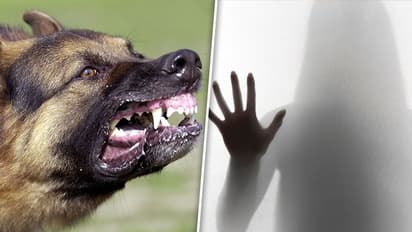 SHOCKER: Dog saves Mumbai woman from rape; read report