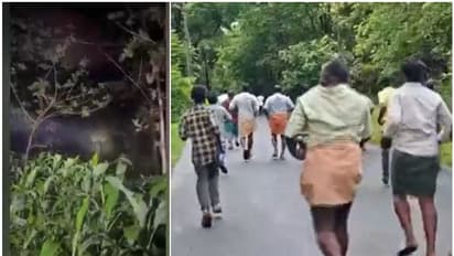 സ്വയം കുത്തിമറിച്ചിട്ട പന വൈദ്യുതി ലൈനിൽ തട്ടി ഷോക്കേറ്റ് കാട്ടാന ചരിഞ്ഞു, വിശദമായ അന്വേഷണം നടത്താൻ വനംവകുപ്പ്