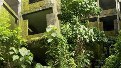 ഒരു കാലത്ത് കൊട്ടിഘോഷിക്കപ്പെട്ട ലൈഫ് മിഷൻ; കാടുകയറി നശിക്കുന്ന വടക്കാഞ്ചേരി പദ്ധതി, കണ്ണടച്ച് അധികൃതർ