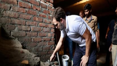 ದೆಹಲಿಯಲ್ಲಿ ಗಾರೆ ಕೆಲಸ ಮಾಡಿದ ರಾಹುಲ್ ಗಾಂಧಿ: ಮೆಟ್ಟಿಲು ಕಟ್ಟಿದ ವಿಪಕ್ಷ ನಾಯಕ!