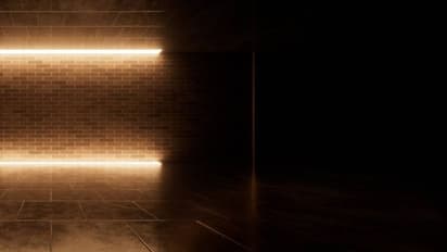 രാത്രികളിൽ വിചിത്രമായ ശബ്ദം കേൾക്കും, മേല്‍ക്കൂരയില്‍ വീട്ടുകാരെ ഭയപ്പെടുത്തുന്ന കാഴ്ച, ഞെട്ടി നെറ്റിസണ്‍സും