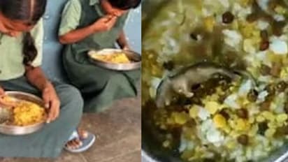 അങ്കണവാടിയിൽ നിന്നും ഉച്ച ഭക്ഷണം കൊടുത്തു, വീട്ടിലെത്തി തുറന്നപ്പോൾ പായ്ക്കറ്റിനുള്ളിൽ ചത്ത പാമ്പ്