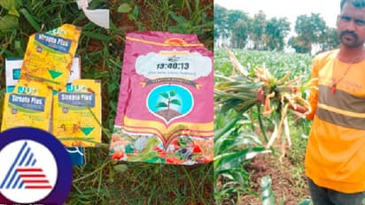 ಆಗ್ರೋ ಅಂಗಡಿ ಮಾಲೀಕನ ಮಾತು ನಂಬಿ ಕೆಟ್ಟ ರೈತ! ನಕಲಿ ಕ್ರಿಮಿನಾಶಕ ಸಿಂಪಡಿಸಿ ಬೆಳೆ ಕಳೆದುಕೊಂಡ ಅನ್ನದಾತ!