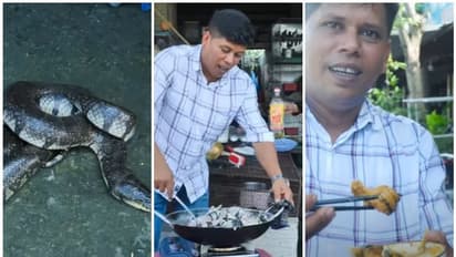 "വറുത്തരച്ച പാമ്പ് കറി" പാചക വീഡിയോ പങ്കുവച്ച ഫിറോസ് ചുട്ടിപ്പാറയ്ക്ക് വിമര്‍ശനവും പിന്തുണയും