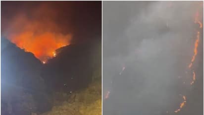 അല്ബാഹ പര്വ്വതത്തില് വന് തീപിടിത്തം; തീയണയ്ക്കാന് ശ്രമം തുടര്ന്ന് സിവില് ഡിഫന്സ്